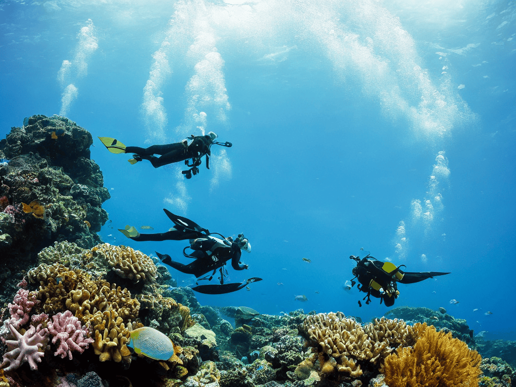 Diving into the Unknown