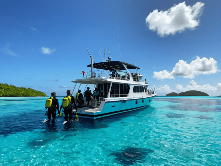 A Beginner’s Guide to Your First Liveaboard Scuba Diving Trip